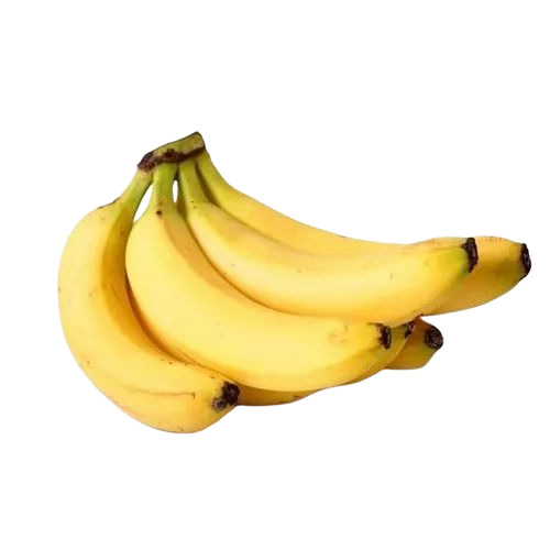 Robusta Banana 