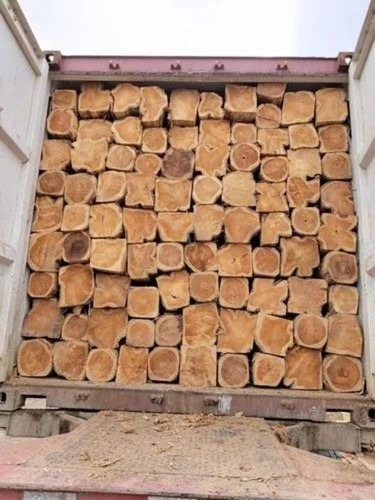 2.60 M Ecuador Rough Square Teak Wood Logs