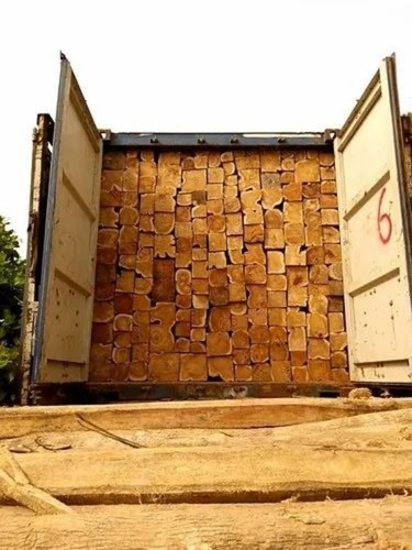 Ghana Teak Wood Logs