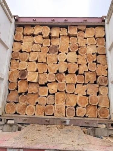 Teak Wood Rough Square Logs
