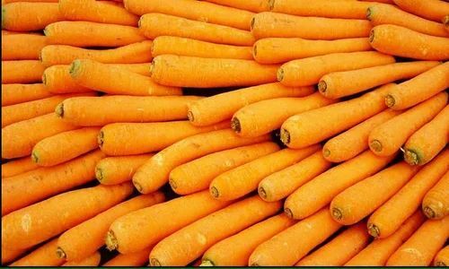 Baby Carrot By O M R Exports