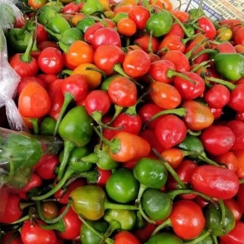 Dalle Khursani Chillies