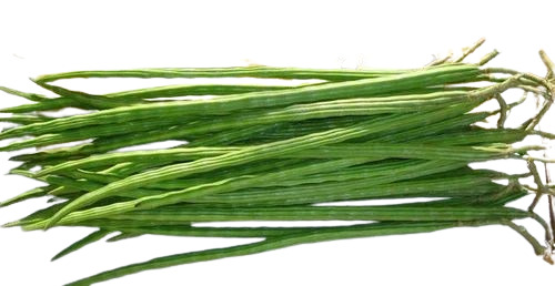 Fresh Drumstick