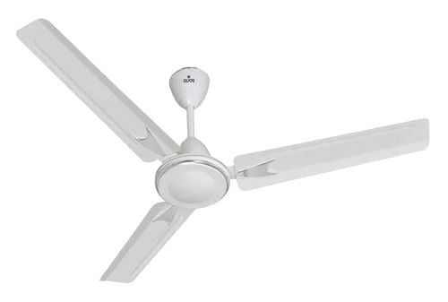 White Ceiling Fans