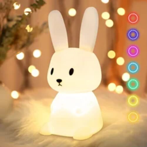 Designer Lamps