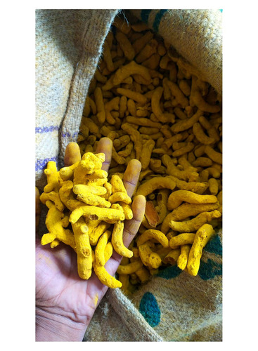Turmeric Finger - Color: Yellow
