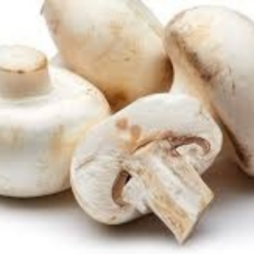 Fresh Button Mushroom