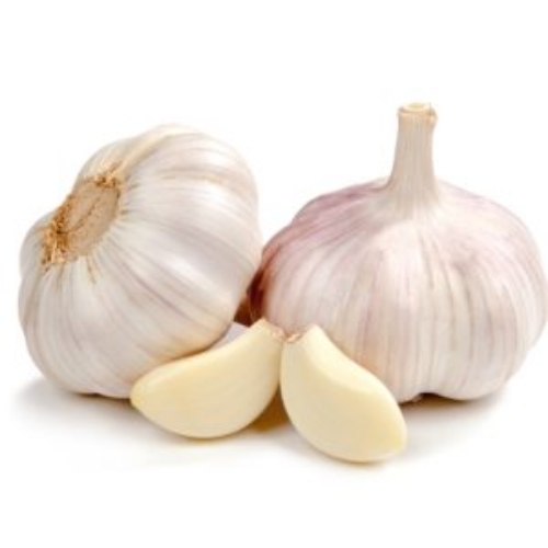 Fresh Garlic 