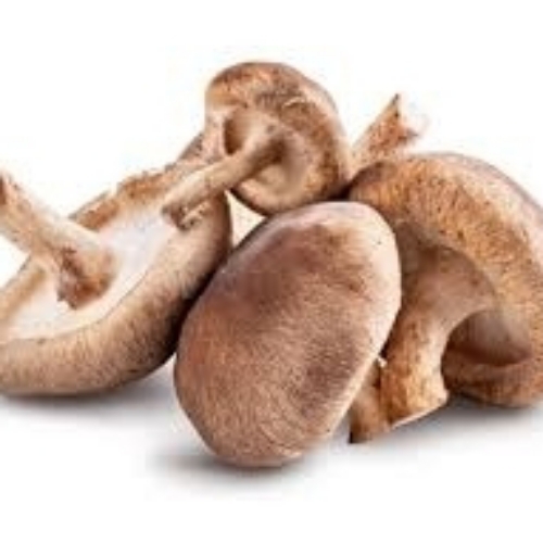 Shiitake Mushroom
