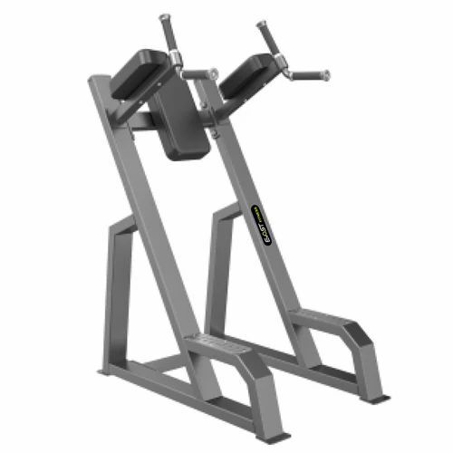 Vertical Knee Raise Machine - Application: Endurance
