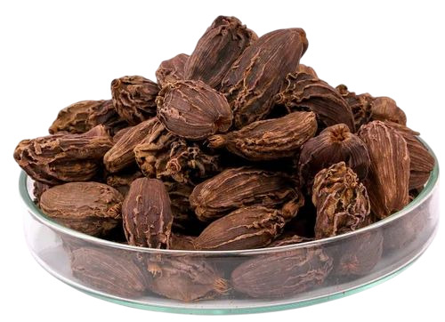 Big Cardamom