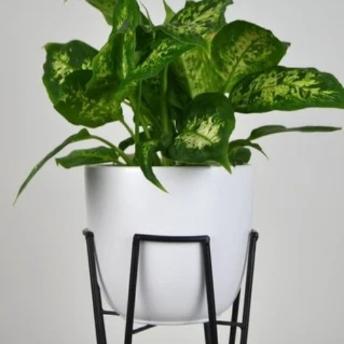 Craftika Metal Planters With Stand