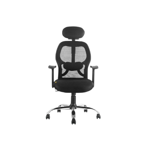 Adjustable Arm Mesh Office Chair