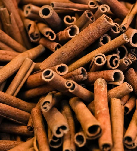 Cinnamon Stick