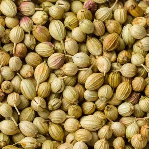 Coriander Seed