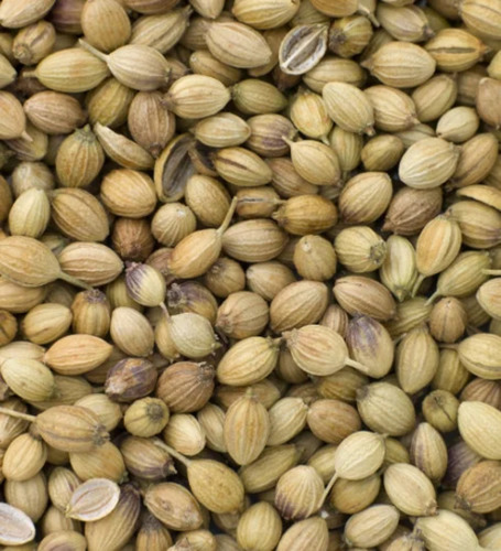 Dry Coriander