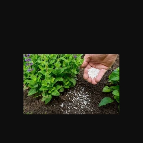 Fertilizer
