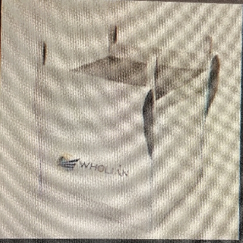 Pp jumbo bag