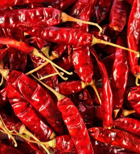 Red Chilli