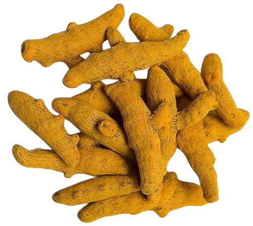 Turmeric Finger