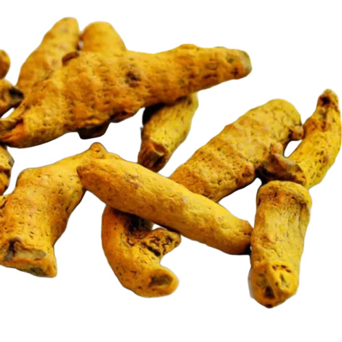 Dried Salem Turmeric Finger