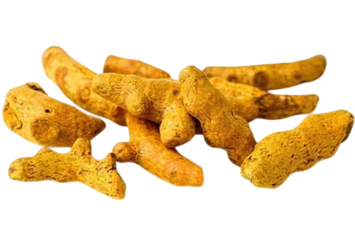Erode Turmeric Finger 2 Inch