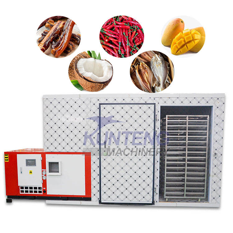 Industrial Fish Beef Preserved Meat Commercial Food Dryer Sardine Fish Heat Pump Dryer mango Red Chilli Drying Machine