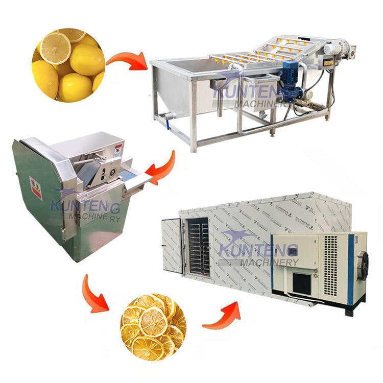 Mango Apple Lemon Slice Dehydrator Automatic Lemon Chip Cutting and Drying Machine