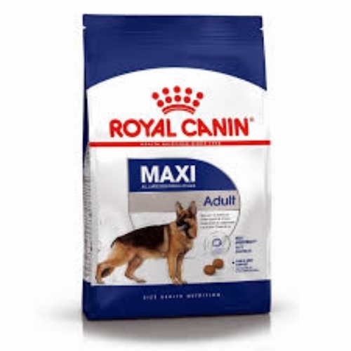 Dog food and eat