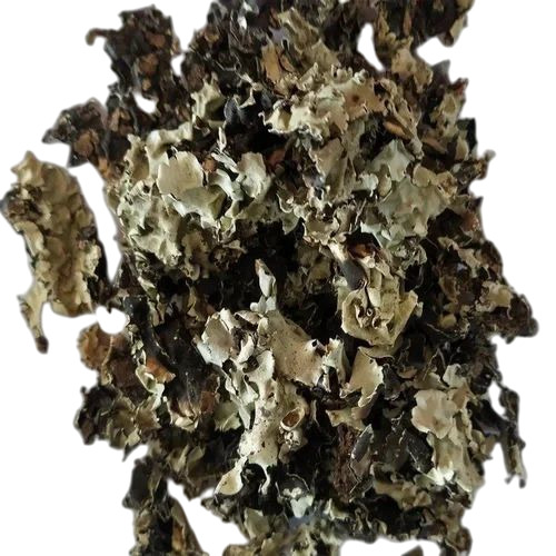 Black Stone Flower - Color: Multiple