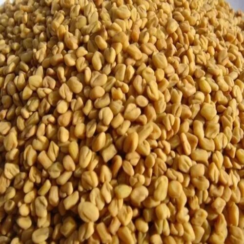 Fenugreek Seed