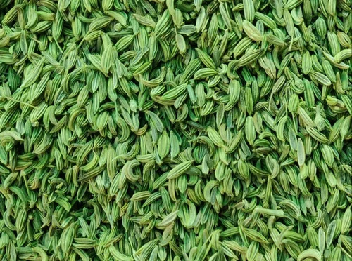 Green Fennel Seeds