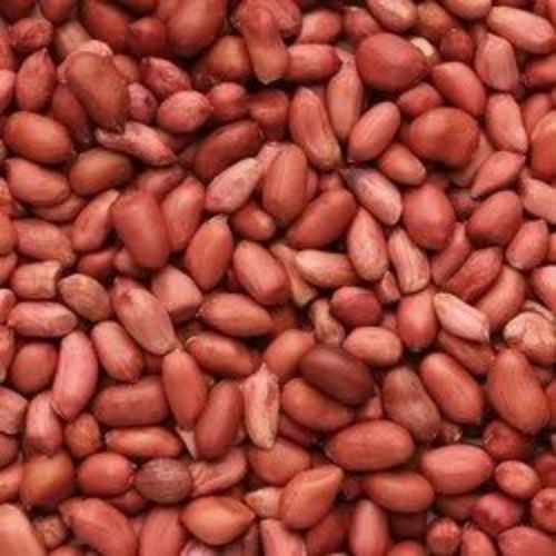 Ground Nut