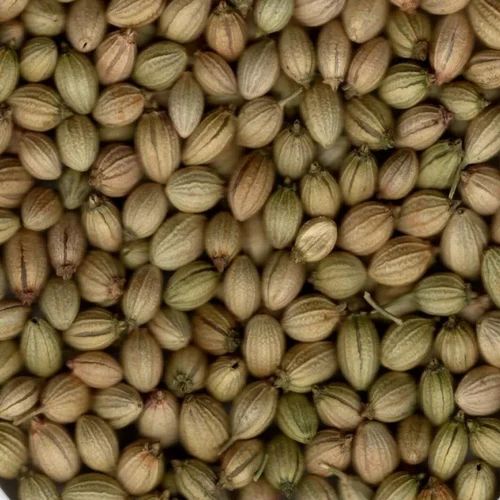 Whole Coriander