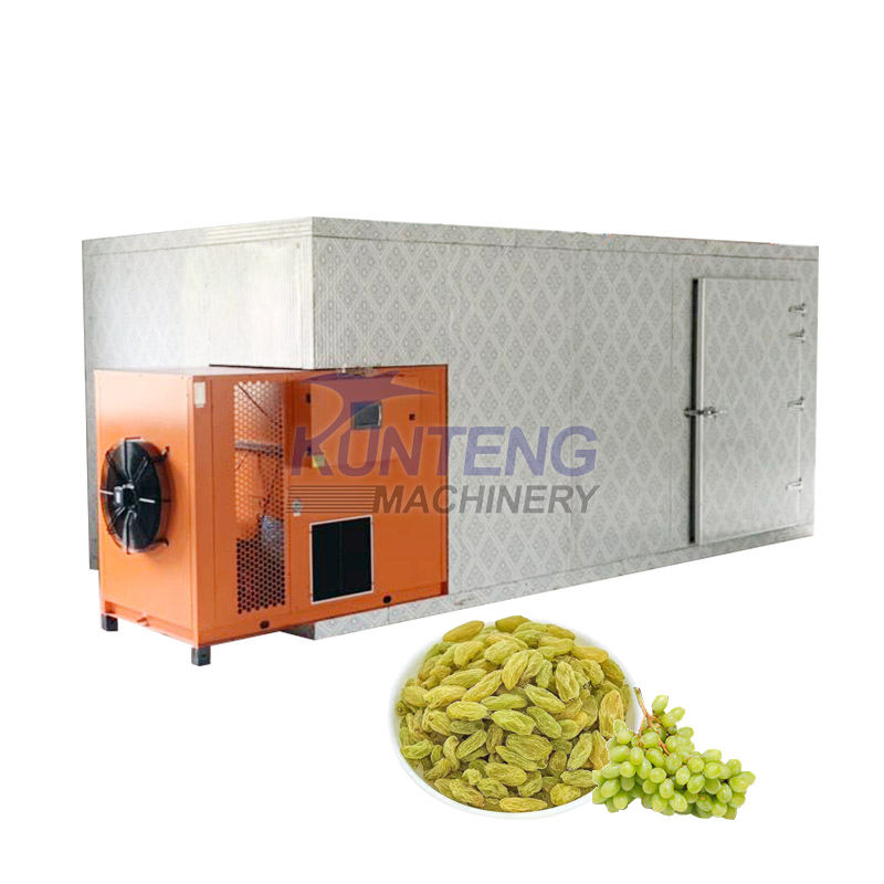 Automatic Fruit Baking Room Raisin Dryer Grape Dehydration Machine Fruit Dehydrator Drying Machine