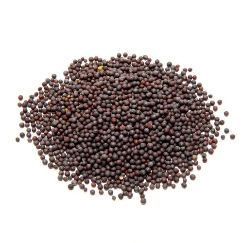 Black Mustard Seeds
