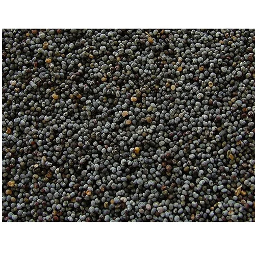 Black Poppy Seeds - Cultivation Type: Conventional