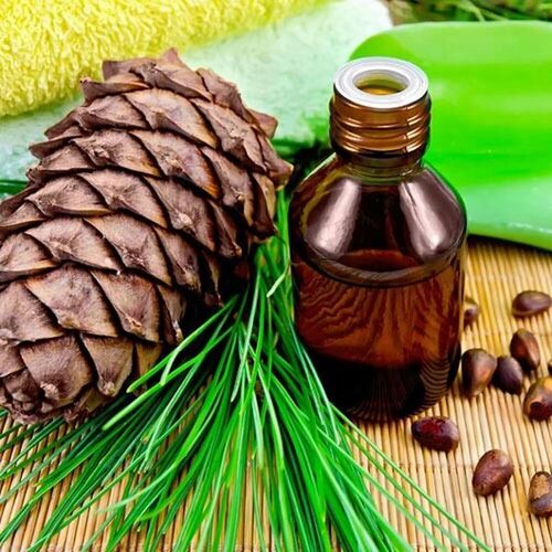 Cedar Wood Essential Oil