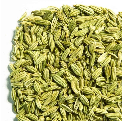 Fresh Fennel Seeds