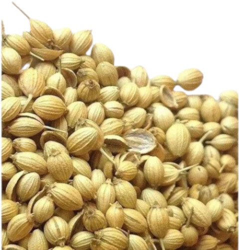 Organic Coriander Seed - Grade: Food Grade