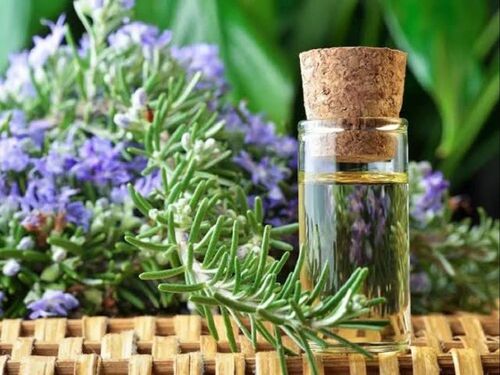 Rosemary Essential Oil