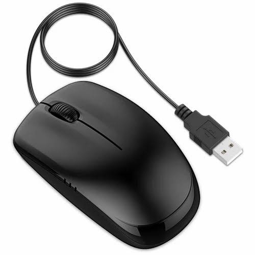 Computer Mouse