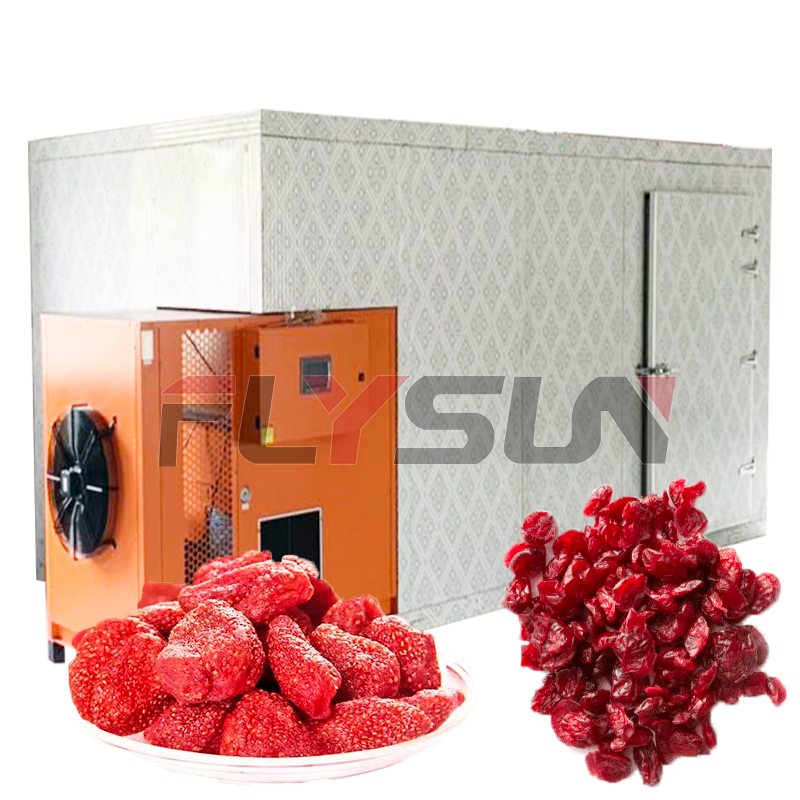 Fruit Dried Electric Drying Room