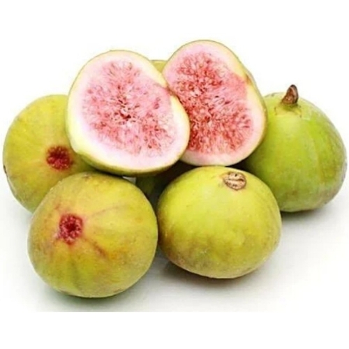 Fruits