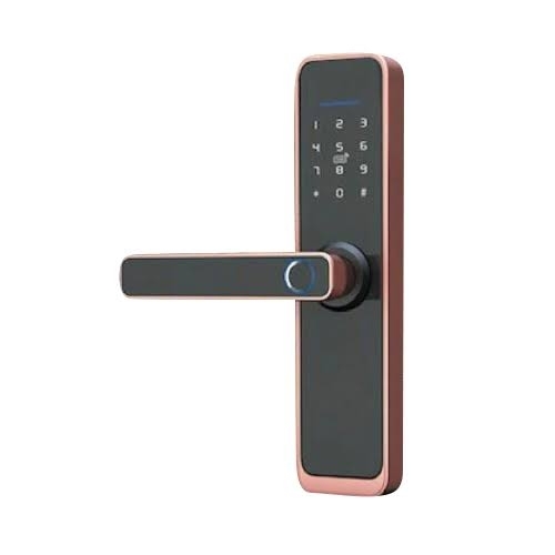 Biometric Locks