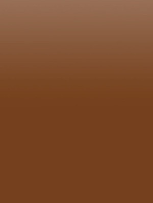 Caramel Color - Cas No: 8028-89-5