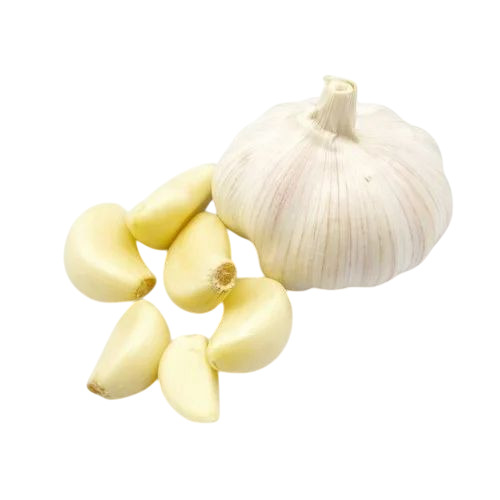 Fresh Garlic