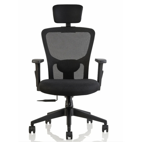 Mesh Ergonomic Office Chair