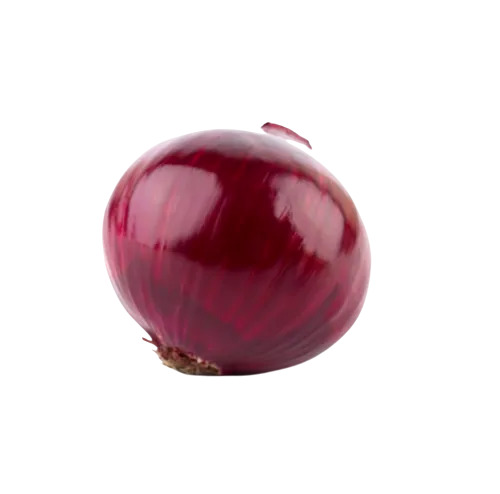 Natural Fresh Onion