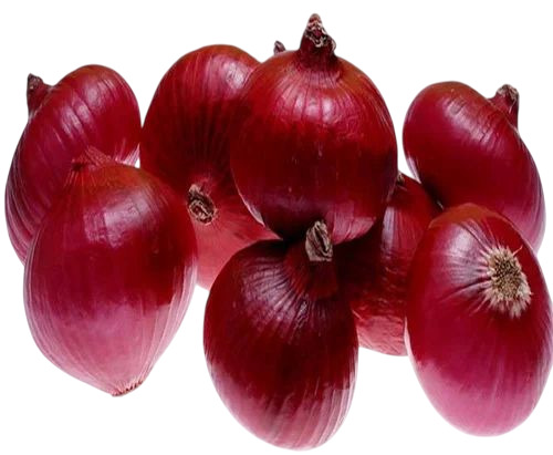 Red Onion